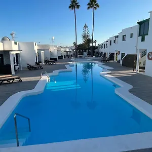 Lanza Palm , Puerto del Carmen (Lanzarote) España